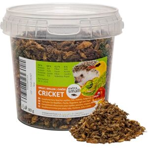 UGF Underground Food UGF Grillons séchés (Petits) 80 g en Pot de 500 ML, Insectes, Nourriture pour Oiseaux Sauvages (Toute l'année), Tortues, hérissons, lézards, Poissons - Publicité UGF Underground Food UGF Grillons séchés (Petits) 80 g en Pot de 500 ML, Insectes, Nourriture pour Oiseaux Sauvages (Toute l'année), Tortues, hérissons, lézards, Poissons - Publicité