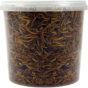SQUAWK - Dried Mealworms - Qualité Premium - Collations de jardin - Nourriture pour oiseaux - Publicité SQUAWK - Dried Mealworms - Qualité Premium - Collations de jardin - Nourriture pour oiseaux - Publicité
