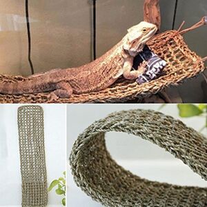 quanjucheer Lézard Reptile Hamac balançoire pour Animal Domestique Anoles Geckos Iguanes Jouets - Publicité quanjucheer Lézard Reptile Hamac balançoire pour Animal Domestique Anoles Geckos Iguanes Jouets - Publicité