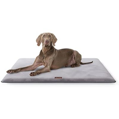 Knuffelwuff Sunport Tapis Douillet pour Chien, en Fourrure synthétique Douce, 100 x 70 cm, Coussin pour Chiens de Grande, Moyenne et Petite Taille, pour la Maison, la Voiture, Le Camping-Car, la - Publicité Knuffelwuff Sunport Tapis Douillet pour Chien, en Fourrure synthétique Douce, 100 x 70 cm, Coussin pour Chiens de Grande, Moyenne et Petite Taille, pour la Maison, la Voiture, Le Camping-Car, la - Publicité