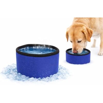 Gamelle pour chien Flamingo Fresk - Réfrigérée, 16x10cm, Bleu - Publicité Gamelle pour chien Flamingo Fresk - Réfrigérée, 16x10cm, Bleu - Publicité