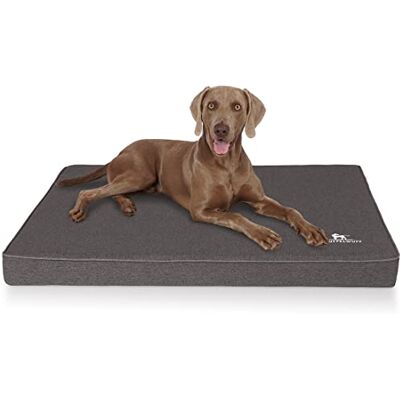 Knuffelwuff Nantucket Tapis orthopédique pour Chien, en Velours, avec caractère tissé à la Main, Taille L, 80 x 60 cm, Anthracite, Housse Amovible, Lavable, pour Chiens de Grande, Moyenne et Petite - Publicité Knuffelwuff Nantucket Tapis orthopédique pour Chien, en Velours, avec caractère tissé à la Main, Taille L, 80 x 60 cm, Anthracite, Housse Amovible, Lavable, pour Chiens de Grande, Moyenne et Petite - Publicité