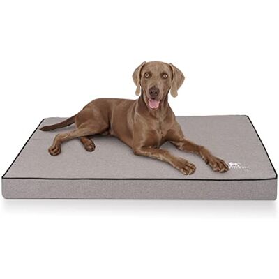Knuffelwuff Nantucket Tapis orthopédique pour chien, en velours, avec caractère tissé à la main, taille XL, 100 x 70 cm, gris, housse amovible, lavable, pour chiens de grande, moyenne et petite taille - Publicité Knuffelwuff Nantucket Tapis orthopédique pour chien, en velours, avec caractère tissé à la main, taille XL, 100 x 70 cm, gris, housse amovible, lavable, pour chiens de grande, moyenne et petite taille - Publicité