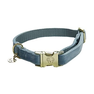 Kentucky Dogwear M Collier pour Chien Velours Bleu Clair - Accessoire pour Chiens - Publicité Kentucky Dogwear M Collier pour Chien Velours Bleu Clair - Accessoire pour Chiens - Publicité