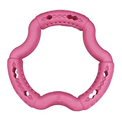Vadigran Think Animal Vadigran Jouet pour Chien Anneau en TPR Red Frutti 21 cm - Publicité Vadigran Think Animal Vadigran Jouet pour Chien Anneau en TPR Red Frutti 21 cm - Publicité