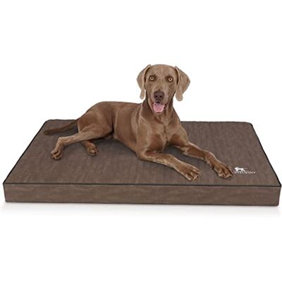 Knuffelwuff Palomino Tapis orthopédique pour chien, en cuir synthétique matelassé au laser, taille XL, 100 x 70 cm, marron, dessous antidérapant, facile à nettoyer, pour chiens de grande, moyenne et - Publicité Knuffelwuff Palomino Tapis orthopédique pour chien, en cuir synthétique matelassé au laser, taille XL, 100 x 70 cm, marron, dessous antidérapant, facile à nettoyer, pour chiens de grande, moyenne et - Publicité