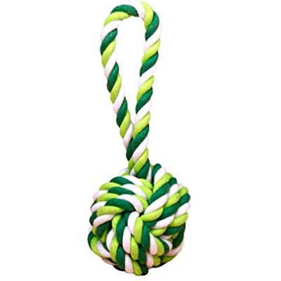 LINNUO Cordes Tissé Chien Jouets Chien Interactifs Jouet à Mâcher Agressifs Animal Chew Toys pour Puppy Petits (#3Vert,One Size) - Publicité LINNUO Cordes Tissé Chien Jouets Chien Interactifs Jouet à Mâcher Agressifs Animal Chew Toys pour Puppy Petits (#3Vert,One Size) - Publicité