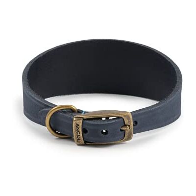 Ancol Timberwolf Collier en Cuir pour Chien Motif Whippet Bleu 30-34 cm - Publicité Ancol Timberwolf Collier en Cuir pour Chien Motif Whippet Bleu 30-34 cm - Publicité
