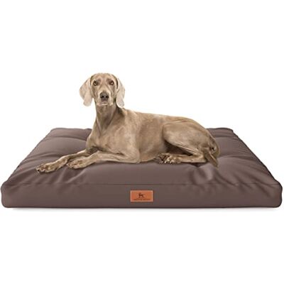 Knuffelwuff Coussin pour Chien Gatsby en Tissu Oxford 110 x 89 cm Marron Fond antidérapant Facile à Nettoyer pour Chiens de Grande, Moyenne et Petite Taille - Publicité Knuffelwuff Coussin pour Chien Gatsby en Tissu Oxford 110 x 89 cm Marron Fond antidérapant Facile à Nettoyer pour Chiens de Grande, Moyenne et Petite Taille - Publicité