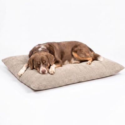 4L Textil ZOE Coussin pour chien En velours côtelé beige Avec housse et fermeture éclair Coussin douillet lavable, Beige (rayures), 100x80 cm - Publicité 4L Textil ZOE Coussin pour chien En velours côtelé beige Avec housse et fermeture éclair Coussin douillet lavable, Beige (rayures), 100x80 cm - Publicité