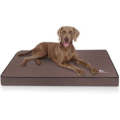 Knuffelwuff Nantucket Tapis orthopédique pour Chien, en Velours, avec caractère tissé à la Main, XXL, 115 x 80 cm, Marron, Housse Amovible, Lavable, pour Chiens de Grande, Moyenne et Petite Taille - Publicité Knuffelwuff Nantucket Tapis orthopédique pour Chien, en Velours, avec caractère tissé à la Main, XXL, 115 x 80 cm, Marron, Housse Amovible, Lavable, pour Chiens de Grande, Moyenne et Petite Taille - Publicité