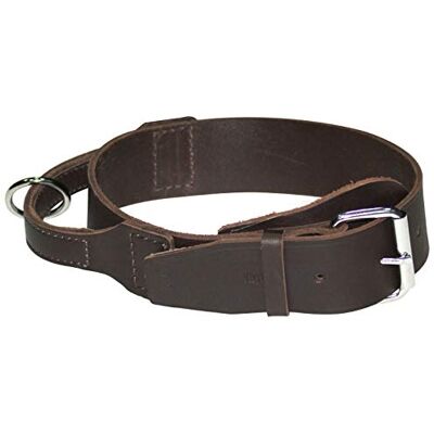 Dingo - SOFT Collier en cuir - 5.0 cm - Marron - Collier pour chien - Publicité Dingo - SOFT Collier en cuir - 5.0 cm - Marron - Collier pour chien - Publicité
