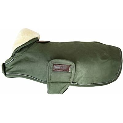 Kentucky Manteau chien Imperméable vert olive teckel 40cm - Publicité Kentucky Manteau chien Imperméable vert olive teckel 40cm - Publicité