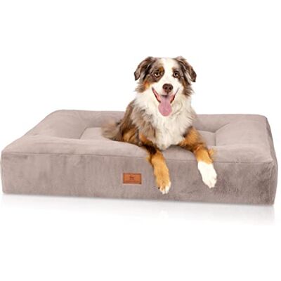 Knuffelwuff Midland Lit pour chien orthopédique Beige XL - Publicité Knuffelwuff Midland Lit pour chien orthopédique Beige XL - Publicité