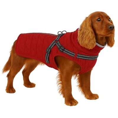 Veste pour chien Flamingo Duker - Publicité Veste pour chien Flamingo Duker - Publicité