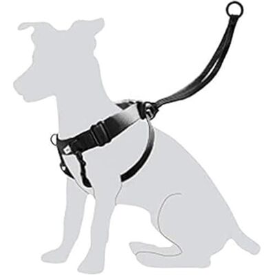 Harnais Easy Walk pour Chien - Harnais pour chien - Publicité Harnais Easy Walk pour Chien - Harnais pour chien - Publicité