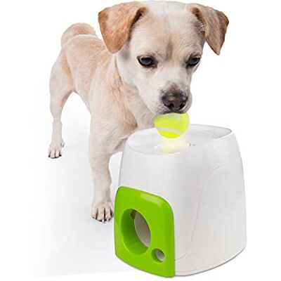 ALL FOR PAWS AFP Interactive Fetch'n Treat Jouet pour Chien - Publicité ALL FOR PAWS AFP Interactive Fetch'n Treat Jouet pour Chien - Publicité