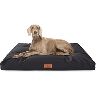 Knuffelwuff Coussin pour Chien Gatsby en Tissu Oxford 110x89cm Noir sous-Sol antidérapant Facile à Nettoyer pour Les Chiens de Grande, Moyenne et Petite Taille - Publicité Knuffelwuff Coussin pour Chien Gatsby en Tissu Oxford 110x89cm Noir sous-Sol antidérapant Facile à Nettoyer pour Les Chiens de Grande, Moyenne et Petite Taille - Publicité