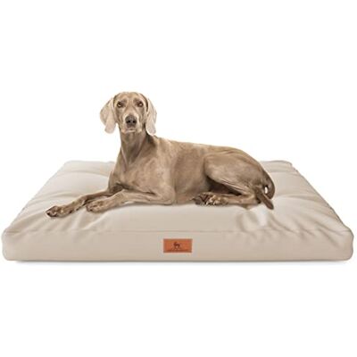 Knuffelwuff Coussin pour Chien Gatsby en Tissu Oxford 65 x 90 cm Beige Fond antidérapant Facile à Nettoyer pour Chiens de Grande, Moyenne et Petite Taille - Publicité Knuffelwuff Coussin pour Chien Gatsby en Tissu Oxford 65 x 90 cm Beige Fond antidérapant Facile à Nettoyer pour Chiens de Grande, Moyenne et Petite Taille - Publicité