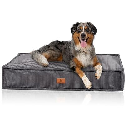 Knuffelwuff Coussin pour Chien Lesedi en Velours côtelé Aspect tissé Main 100x70cm Gris Housse Amovible Lavable pour Grands, Moyens et Petits Chiens - Publicité Knuffelwuff Coussin pour Chien Lesedi en Velours côtelé Aspect tissé Main 100x70cm Gris Housse Amovible Lavable pour Grands, Moyens et Petits Chiens - Publicité