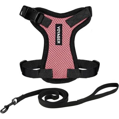 Best Pet Supplies Harnais Chat Voyager Step-in Lock avec Laisse XXS Rose Maille douce et respirante, harnais réglable anti-fugue, laisse nylon durable, idéal pour promenades actives - Publicité Best Pet Supplies Harnais Chat Voyager Step-in Lock avec Laisse XXS Rose Maille douce et respirante, harnais réglable anti-fugue, laisse nylon durable, idéal pour promenades actives - Publicité