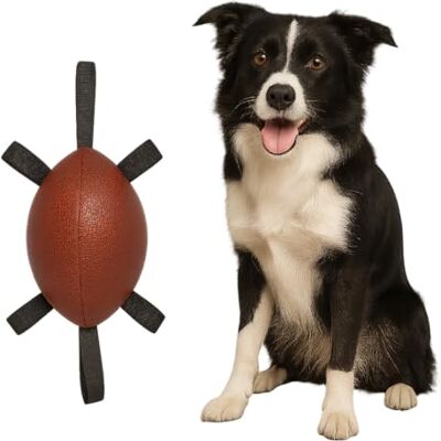 Flamingo Towo Rugby - Jouet pour chien - Publicité Flamingo Towo Rugby - Jouet pour chien - Publicité