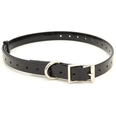 Collier en polyuréthane durable Ibanez - Réglable, Noir - Colliers pour chiens de chasse - Publicité Collier en polyuréthane durable Ibanez - Réglable, Noir - Colliers pour chiens de chasse - Publicité