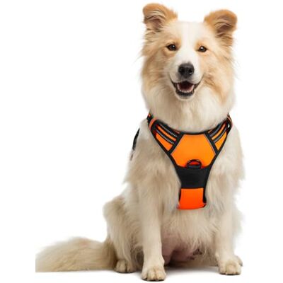 rabbitgoo Harnais Chien M Arnais Orange Anti Traction Réfléchissant Gilet Réglable pour Chien, Attache Devant Crochet de Laisse pour Randonnée Trajet Voiture, Bouledogue Français, Berger Australien - Publicité rabbitgoo Harnais Chien M Arnais Orange Anti Traction Réfléchissant Gilet Réglable pour Chien, Attache Devant Crochet de Laisse pour Randonnée Trajet Voiture, Bouledogue Français, Berger Australien - Publicité