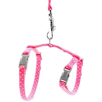 smalllee_lucky_store Harnais pour Animaux de Compagnie avec Laisse réglable pour Lapins Chats Chatons Collier réglable Laisse de Marche pour Petit Chien - Publicité smalllee_lucky_store Harnais pour Animaux de Compagnie avec Laisse réglable pour Lapins Chats Chatons Collier réglable Laisse de Marche pour Petit Chien - Publicité