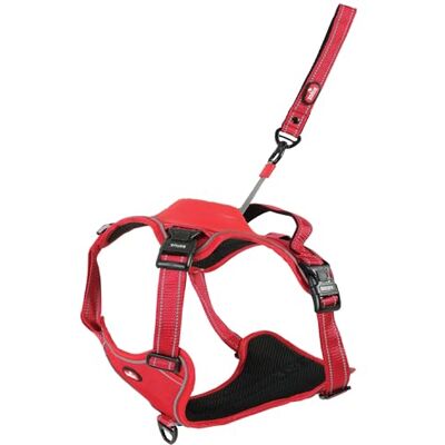 Harnais pour chiens Zolux XL Rouge - Harnais pour chiens - Publicité Harnais pour chiens Zolux XL Rouge - Harnais pour chiens - Publicité