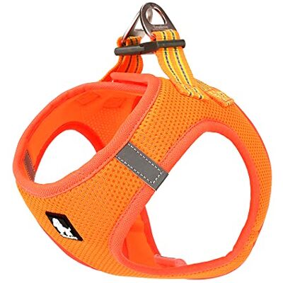TRUE LOVE Harnais pour Chien Soft Air Mesh Gilet réfléchissant réglable pour Animaux de Compagnie pour Petites et Moyennes Races (M, Orange) - Publicité TRUE LOVE Harnais pour Chien Soft Air Mesh Gilet réfléchissant réglable pour Animaux de Compagnie pour Petites et Moyennes Races (M, Orange) - Publicité