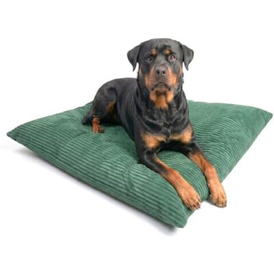 4L Textil ZOE Coussin pour chien en velours côtelé avec housse Lavable Coussin en velours côtelé (100 x 80 cm, vert à rayures) - Publicité 4L Textil ZOE Coussin pour chien en velours côtelé avec housse Lavable Coussin en velours côtelé (100 x 80 cm, vert à rayures) - Publicité