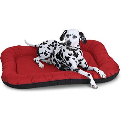 Knuffelwuff Panier Chien, lit pour Chien, Coussin, Corbeille pour Chien Lucky in et Outdoor, imperméable, Rouge Grande Taille XXXL 140 x 105cm - Publicité Knuffelwuff Panier Chien, lit pour Chien, Coussin, Corbeille pour Chien Lucky in et Outdoor, imperméable, Rouge Grande Taille XXXL 140 x 105cm - Publicité