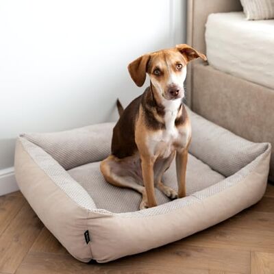 4L Textil TEO Panier Chien Lavable et Déhoussable – Coussin Chien Confortable en Tissu Résistant, Canapé Chien avec Bords Rembourrés – 80x60 cm, Beige - Publicité 4L Textil TEO Panier Chien Lavable et Déhoussable – Coussin Chien Confortable en Tissu Résistant, Canapé Chien avec Bords Rembourrés – 80x60 cm, Beige - Publicité