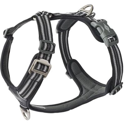 Dog Copenhagen - Comfort Walk Air - Noir - XL - Harness - Publicité Dog Copenhagen - Comfort Walk Air - Noir - XL - Harness - Publicité