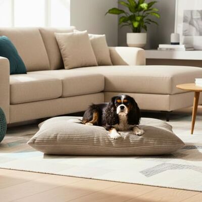 4L Textil Zoe Lit pour Chien en Velours côtelé Beige avec Housse et Fermeture éclair, Coussin Douillet Lavable pour Chiens de Taille Moyenne, 80 x 60 cm, Latte (Rayures) - Publicité 4L Textil Zoe Lit pour Chien en Velours côtelé Beige avec Housse et Fermeture éclair, Coussin Douillet Lavable pour Chiens de Taille Moyenne, 80 x 60 cm, Latte (Rayures) - Publicité