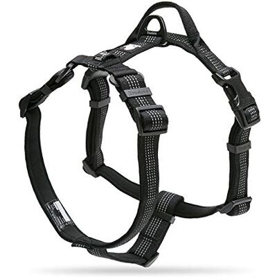 Truelove - Lumen Lite L - Noir - L - Harnais pour chien - Publicité Truelove - Lumen Lite L - Noir - L - Harnais pour chien - Publicité