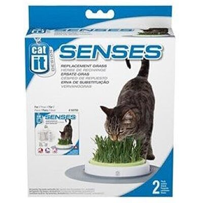 Catit Recharge Jardin d'Herbe à Chat - Publicité Catit Recharge Jardin d'Herbe à Chat - Publicité