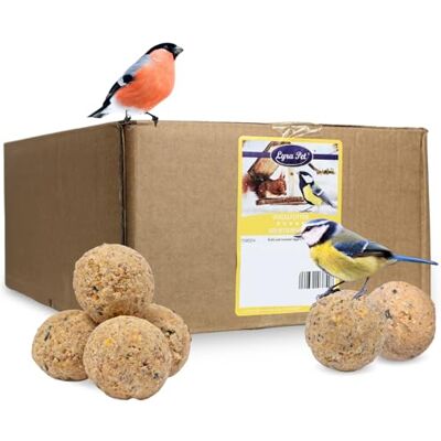 Lyra Pet 100 pièces de Boules de Graisse ® sans Filet de 90 g chacune = 9 kg Source d’énergie pour oiseaux sauvages Riche en minéraux Aliment toute l’année Riche en graisses & nutriments - Publicité Lyra Pet 100 pièces de Boules de Graisse ® sans Filet de 90 g chacune = 9 kg Source d’énergie pour oiseaux sauvages Riche en minéraux Aliment toute l’année Riche en graisses & nutriments - Publicité