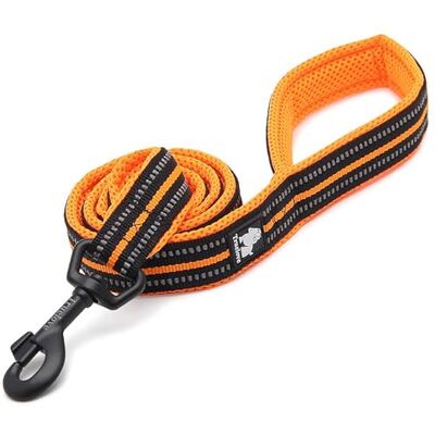 Truelove - Active - Orange - 200 cm - Laisse - Publicité Truelove - Active - Orange - 200 cm - Laisse - Publicité