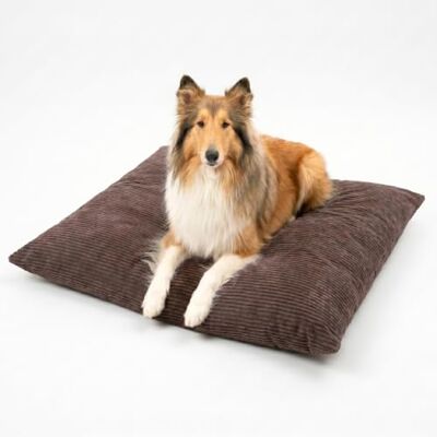 4L Textil Molly Coussin moelleux pour chien en velours côtelé pour grands chiens avec housse et fermeture éclair, coussin douillet lavable (120 x 100 cm, marron) - Publicité 4L Textil Molly Coussin moelleux pour chien en velours côtelé pour grands chiens avec housse et fermeture éclair, coussin douillet lavable (120 x 100 cm, marron) - Publicité