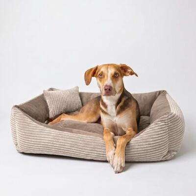 4L Textil Molly Lit pour Chien et Chat Marron Moelleux Panier pour Chat Canapé Douillet Lavable Panier pour Chiot (60 x 40 cm, Marron) - Publicité 4L Textil Molly Lit pour Chien et Chat Marron Moelleux Panier pour Chat Canapé Douillet Lavable Panier pour Chiot (60 x 40 cm, Marron) - Publicité