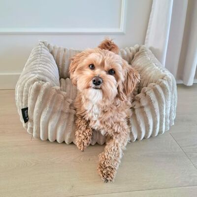 4L Textil Bella Panier en Peluche Premium Line pour Chien et Chat Panier pour Chien et Chat Moelleux Canapé pour Petits Chiens Beige 60 x 40 cm - Publicité 4L Textil Bella Panier en Peluche Premium Line pour Chien et Chat Panier pour Chien et Chat Moelleux Canapé pour Petits Chiens Beige 60 x 40 cm - Publicité
