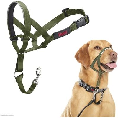Halti Taille 3 - Collier pour chiens, Vert forêt, Réglable, Doux, Efficace - Publicité Halti Taille 3 - Collier pour chiens, Vert forêt, Réglable, Doux, Efficace - Publicité