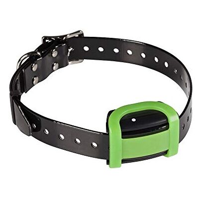 Eyenimal Collier de Dressage Soft ensemble Complet pour Chien - Publicité Eyenimal Collier de Dressage Soft ensemble Complet pour Chien - Publicité