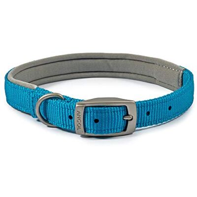 Ancol Viva Collier rembourré pour Chien avec Boucle Bleu Accessoire de Promenade Durable pour Chien Chiot Taille 4 pour Tour de Cou de 35 à 43 cm - Publicité Ancol Viva Collier rembourré pour Chien avec Boucle Bleu Accessoire de Promenade Durable pour Chien Chiot Taille 4 pour Tour de Cou de 35 à 43 cm - Publicité