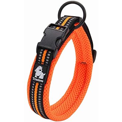 Collier pour chien Truelove Active L - Sports et Promenades - Publicité Collier pour chien Truelove Active L - Sports et Promenades - Publicité
