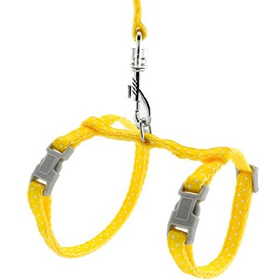 smalllee_lucky_store Harnais pour Animaux de Compagnie avec Laisse réglable pour Lapins Chats Chatons Collier réglable Laisse de Marche pour Petit Chien - Publicité smalllee_lucky_store Harnais pour Animaux de Compagnie avec Laisse réglable pour Lapins Chats Chatons Collier réglable Laisse de Marche pour Petit Chien - Publicité