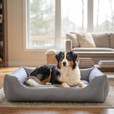 4L Textil Mario Lit Orthopédique pour Chien Mémoire de Forme – Panier Chien Simili Cuir Imperméable, Résistant aux Rayures, Facile à Nettoyer – Gris – 120x90 cm - Publicité 4L Textil Mario Lit Orthopédique pour Chien Mémoire de Forme – Panier Chien Simili Cuir Imperméable, Résistant aux Rayures, Facile à Nettoyer – Gris – 120x90 cm - Publicité