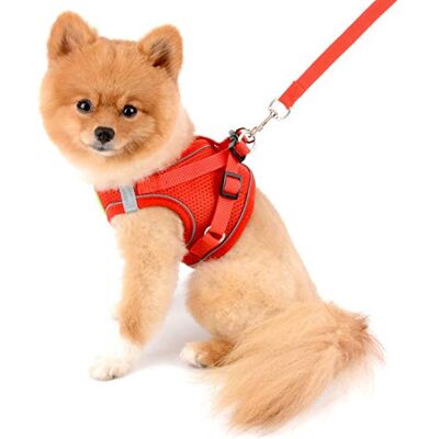 smalllee_lucky_store Harnais et laisse confortables en maille douce pour chiens et chats de petite et moyenne taille, réfléchissants, pour promener en toute sécurité, rouge, taille XS - Publicité smalllee_lucky_store Harnais et laisse confortables en maille douce pour chiens et chats de petite et moyenne taille, réfléchissants, pour promener en toute sécurité, rouge, taille XS - Publicité